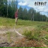 Rendit