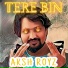 Aksh Royz