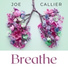 Joe Callier