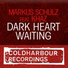 Markus Schulz ft Khaz