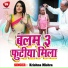 Krishna Mishra
