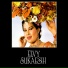 Elvy Sukaesih