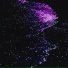 FXARLXSS