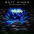 Matt Simon