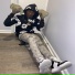 littrapper