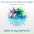 New World, Nirav Sheth, NlightN