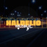 Haldelio