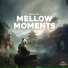 Panda Lofi, Panda Chill, Panda Music