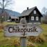 Chikopusik