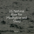 Ambient Rain, Sons da natureza HD, Chillout Lounge