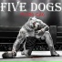 Five Dogs