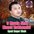 Syed Sagar Shah