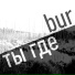 bur