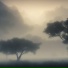 轻音博物馆
