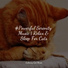 Pet Care Club, Music For Cats, Cat Music Therapy