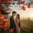 Tinh y3u