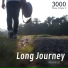 3000