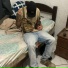 Poyu