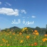 القارئ عادل ريان