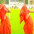 Nitesh Yadav