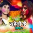 Vikash Singh Chauhan