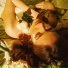 Fauzia