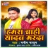 Manish Masum