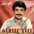 Gürsel Avcı
