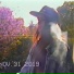 LSD