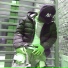 Kidd Luu