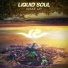 Liquid Soul