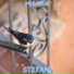 Stefani