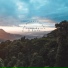 ASMR Rain & Birds