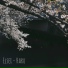 Elsei