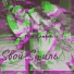 Sвой Sтиль