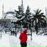 Köksal Bütün