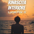 Lucas Fox Jr