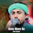 Baul Rayhan