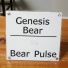 Genesis Bear