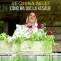 Reghina Belei