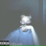 kid3p