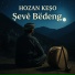 Hozan Keşo