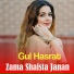 Gul Hasrat