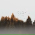 White Noise Therapy, Tinnitus, Relaxing Spa Music