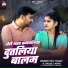 Dev Yadav, Anjali Arya
