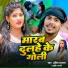 Amit Rajbhar, Shrishti Bharati