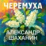 Александр Шаханин