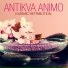 Antikva Animo