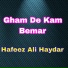 Hafeez Ali Haydar