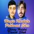 Sheraz Haidri, Danish Shah